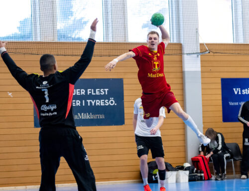 Heldag hos familjen Handboll