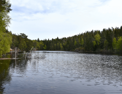 Barnsjön blir friluftsområde – naturen och friluftslivet skyddas